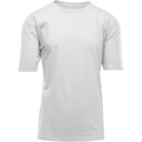 Мужская футболка Brixton PLSTABKTAL