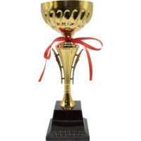 Кубок для награждения New World 35cm (912B)