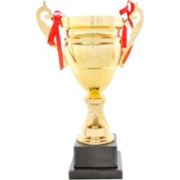 Кубок для награждения New World 43cm (2024A)