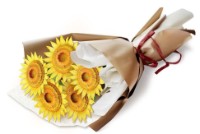 Puzzle 3D-constructor ChiToys Flower Bouquet: Sunflower 180pcs (6944588208660)