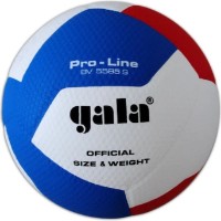 Мяч волейбольный Gala Pro-Line BV5585S