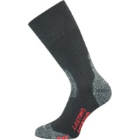 Мужские носки Lasting TXC-900 M