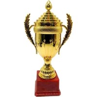 Cupă pentru premiere Sport 40cm (243-1237)