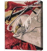 Картина по номерам Brushme Взгляд в волшебный 40x50cm (4840781361336)