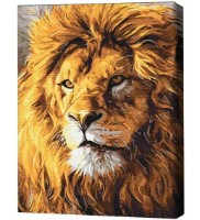 Картина по номерам Brushme Взгляд гордости 40х50cm (4840781361336)