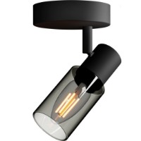 Люстра Philips Palms 25W (8720169299276)