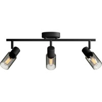 Lustră Philips Palms 25W (8720169299313)