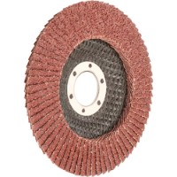 Disc de șlefuit Wokin 776018