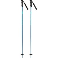 Bețe de schi Rossignol Electra Blue 110cm