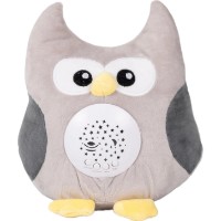 Ночной светильник Chipolino Little Owl (PIL02513LOWL)