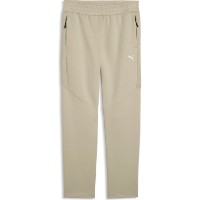 Мужские спортивные штаны Puma Evostripe Pebble Gray, s.M