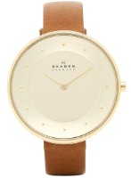 Наручные часы Skagen SKW2138