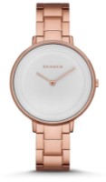 Наручные часы Skagen SKW2331