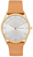 Наручные часы Skagen SKW2344