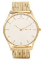 Наручные часы Skagen SKW2377