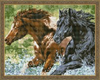 Алмазная мозаика Diamond Horses 40x50cm (YW00343)