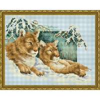 Алмазная мозаика Diamond Siberian Tiger 40x50cm (YW00064)