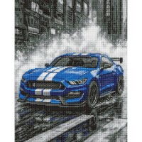 Алмазная мозаика Ideyka Blue Races 40x50cm (AMO8248)