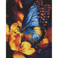Алмазная мозаика Ideyka Flickering Wings 40x50cm (AMO8287) 