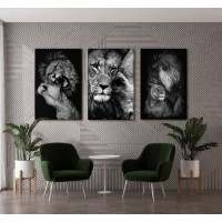 Картина ArtShop Lions Triptych 40x60cm (SET460-XL)