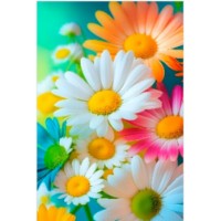 Tablou pe numere PRC Colorful Daisies 30x40cm (PB6850)