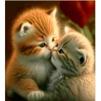 Tablou pe numere PRC Kitties 30x40cm (PB5161)