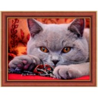 Картина по номерам PRC Relaxing Cat  30x40cm (PB6212)