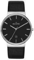 Наручные часы Skagen SKW6104