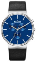 Наручные часы Skagen SKW6105
