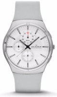 Наручные часы Skagen SKW6132