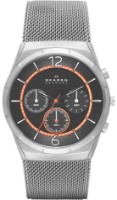 Наручные часы Skagen SKW6135