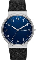 Наручные часы Skagen SKW6232