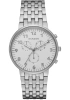Наручные часы Skagen SKW6231
