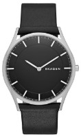 Наручные часы Skagen SKW6220