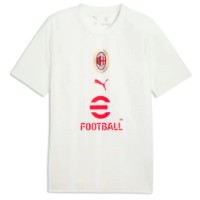 Tricou bărbătesc Puma Acm Warm Up Vapor Gray/Authentic Gold, s.L