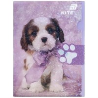 Dosar pentru hârtii Kite A4 Rachael Hale (R25-248)