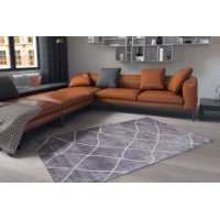 Covor Conceptum Hypnose Funk Chenille Gray AL 60 0.75x1.50m