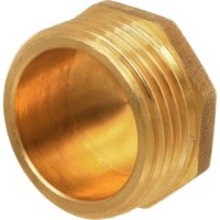 Заглушка TDM Brass M 1M (10601)