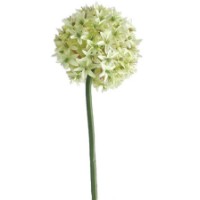 Декоративный цветок Casa Masa Allium 60 cm White (L20501/WH)