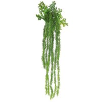Floare decorativă Casa Masa Feiga 63cm (099)