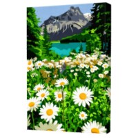 Картина по номерам Art Gallery Premium Daisies 20x30cm (CX4453)