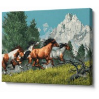 Tablou pe numere Art Gallery Premium Herghelie de cai în munți 40x50cm (GX41735)