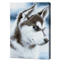 Tablou pe numere Art Gallery Premium Cățeluș husky 30x40cm (EX6726)