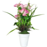 Floare decorativă Casa Masa Maci in ghiveci 36 cm Pink (DK24172DK.PK/LT.PK)