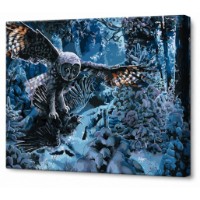 Tablou pe numere Art Gallery Premium Zborul bufniței în pădurea de iarnă 40x50cm (GX32539)