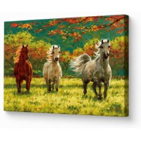 Tablou pe numere Art Gallery Premium Mustangi 40x50cm (GX34226)