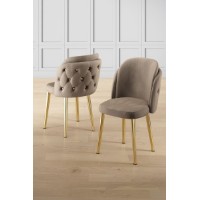 Комплект стульев Hanah Home Axle Cappuccino Gold