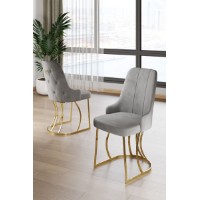 Комплект стульев Hanah Home Puva Grey Gold