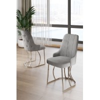 Комплект стульев Hanah Home Puva Grey Chrome