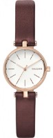 Наручные часы Skagen SKW2641